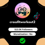Buy TikTok Account Beta with 513K Followers – TikTok Germany